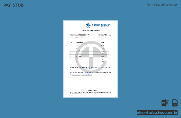 Beispiel für eine Gehaltsabrechnung der Softwarefirma Yamee Cluster